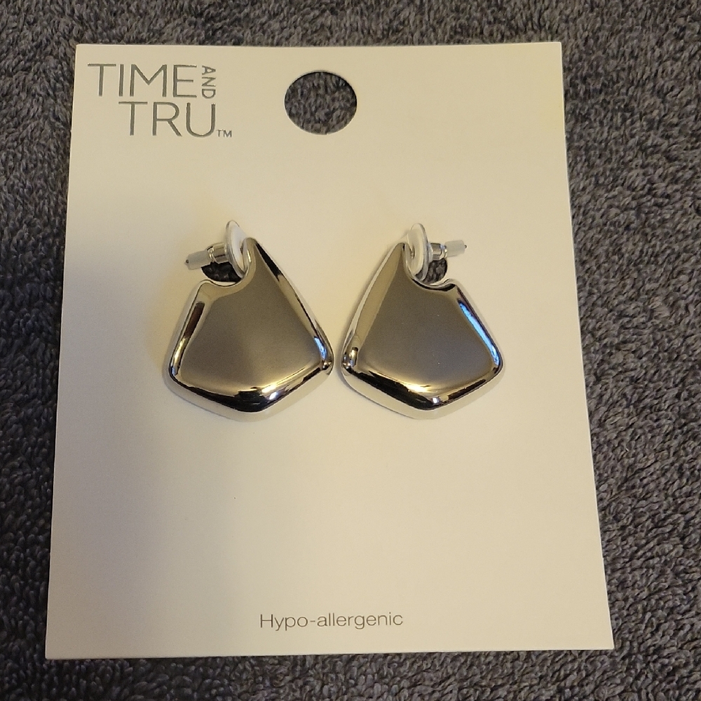 Earrings Shiny Silver Earrings